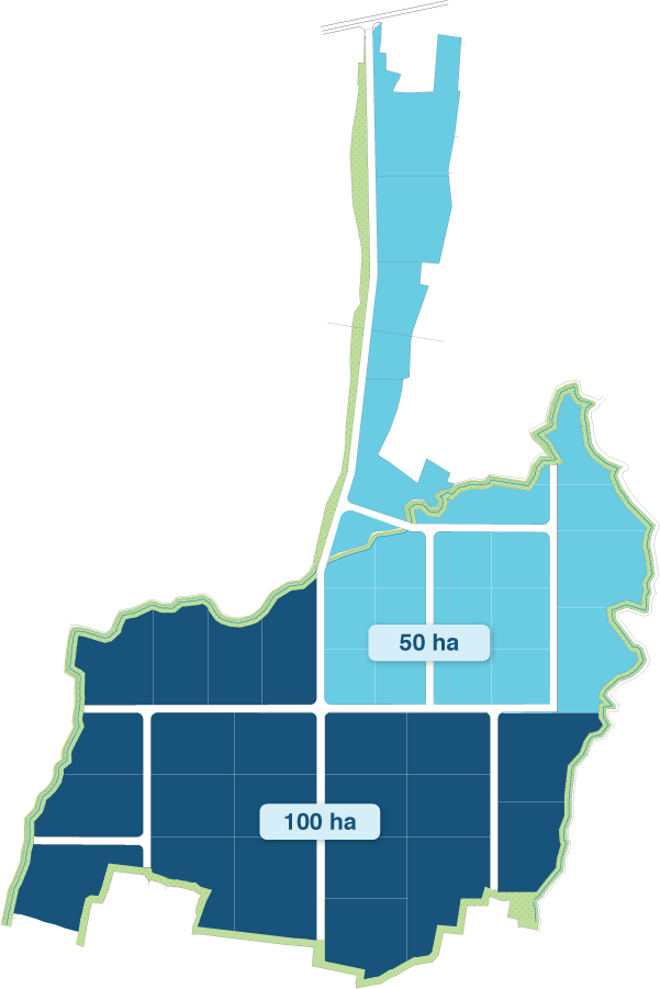 Lion Industrial Park masterplan overview
